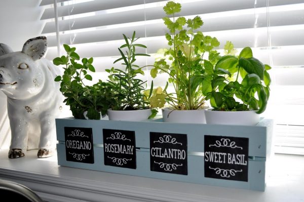 window herb garden