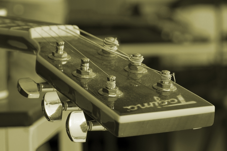 A closeup of a Tagima guitar's head.