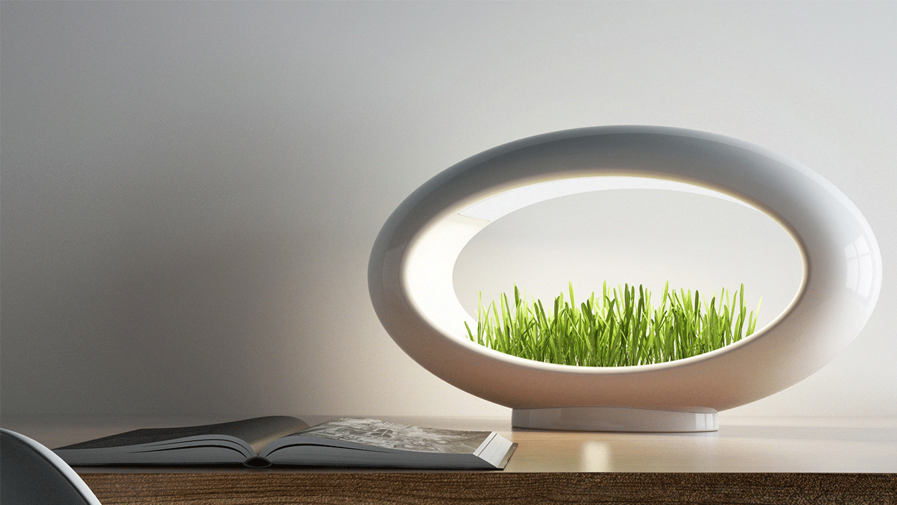 A white Grasslamp, which is a grass planter and an ambient LED lamp, is on top of a desk in a small apartment.