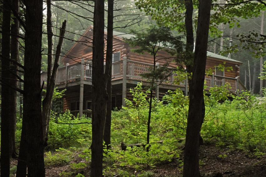 The exterior of a Northern Woods lynx cabin in the woods during the day.