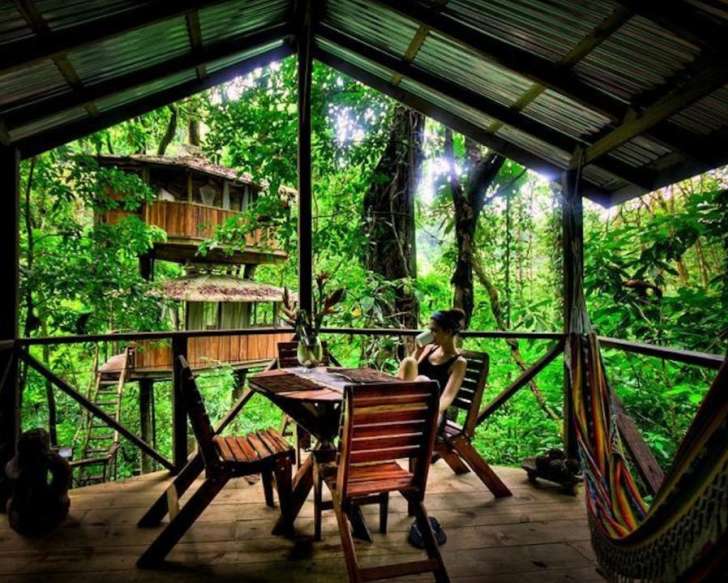 A woman is sitting at a wooden table and drinking coffee on the porch of a treehouse in a rainforest during the day.
