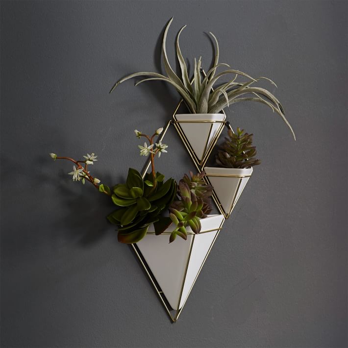 Trig wall planters are storing houseplants and mounted to a wall in a tiny apartment.