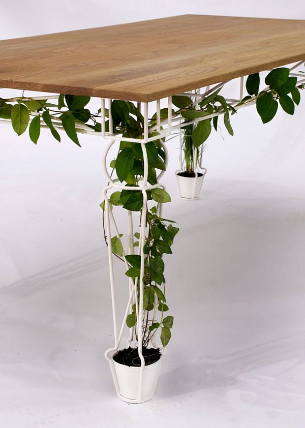 Plantable table/planter helps vines grow in a small apartment.