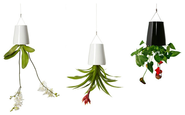 Mini sky indoor planter hangs houseplants from the ceiling in a tiny apartment.