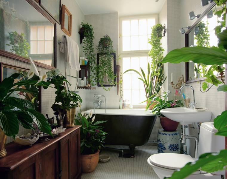 A tiny bathroom in a small apartment filled with houseplants in planters.