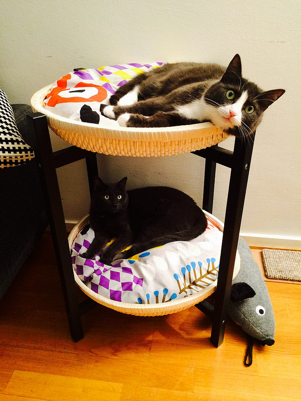 A DUKTIG IKEA hack that serves as cat beds for two cats.