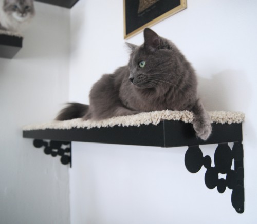 A black Lack shelf as a cat tree is one of many easy IKEA hacks for pets.