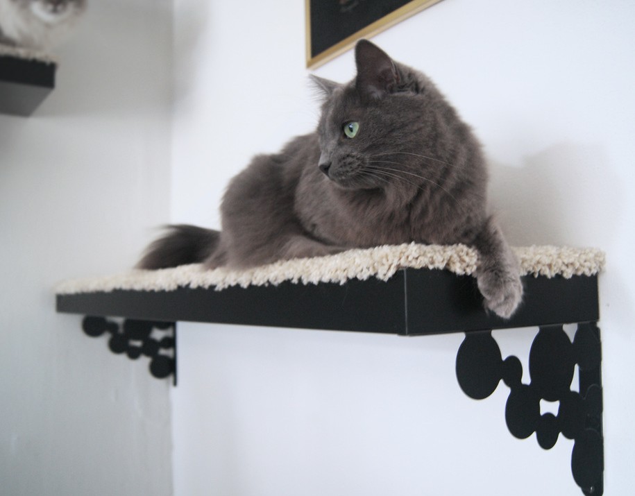 A black Lack shelf as a cat tree is one of many easy IKEA hacks for pets.