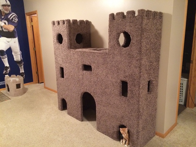 A kitty in a DIY cat castle made of carpet in a small apartment.