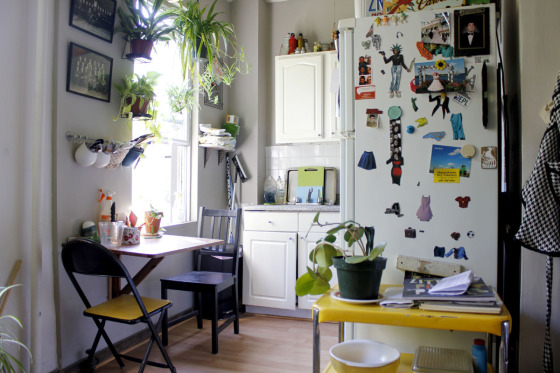 The kitchen in Margaret Mason and Brandon Dunham's 485 sq ft apartment in East Williamsburg, Brooklyn, NY.