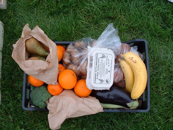 a black plastic crate is on the grass and storing oranges, potatoes, bananas, an eggplant, broccoli, and pears