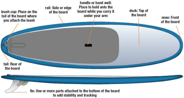 A stand up paddle board diagram describing 7 SUP parts