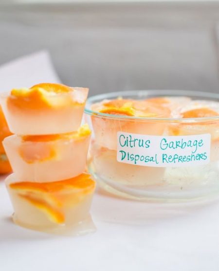 citrus and distilled white vinegar garbage disposal refreshers from hello glow