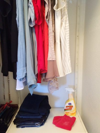 clean closet shelf with a wet rag and all-purpose cleaner