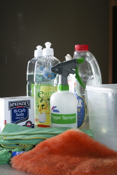 green cleaning kit
