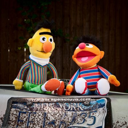 bert and ernie from sesame street sitting on the ground and talking behind a new york license plate