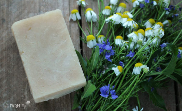 A bar of soap is lying next to freshly picked herbs.
