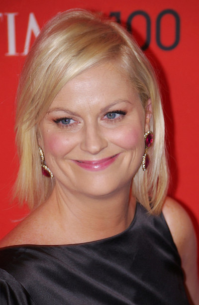 Amy Poehler tells us how she organizes her home