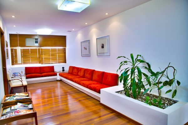 a red sofa and a houseplant in a living room
