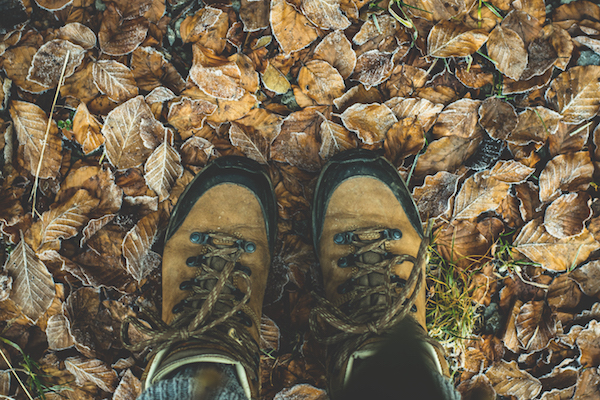 hiking boots in leaves