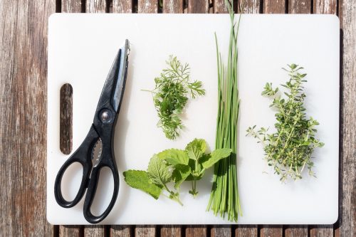 herbs that can be grown at home