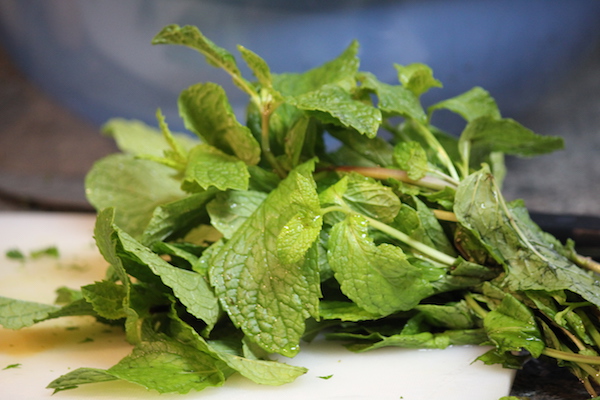 fresh mint grown indoors