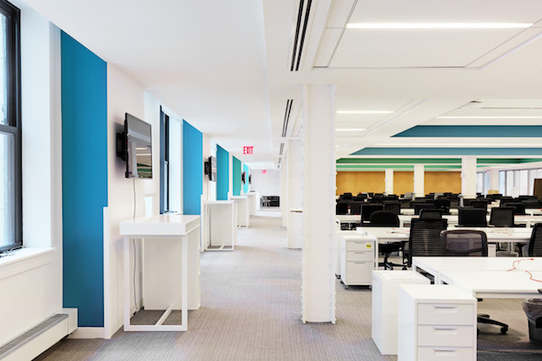 bright office walls in blue green gold and white