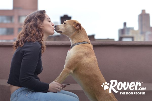 A pet sitter kisses the dog she is walking