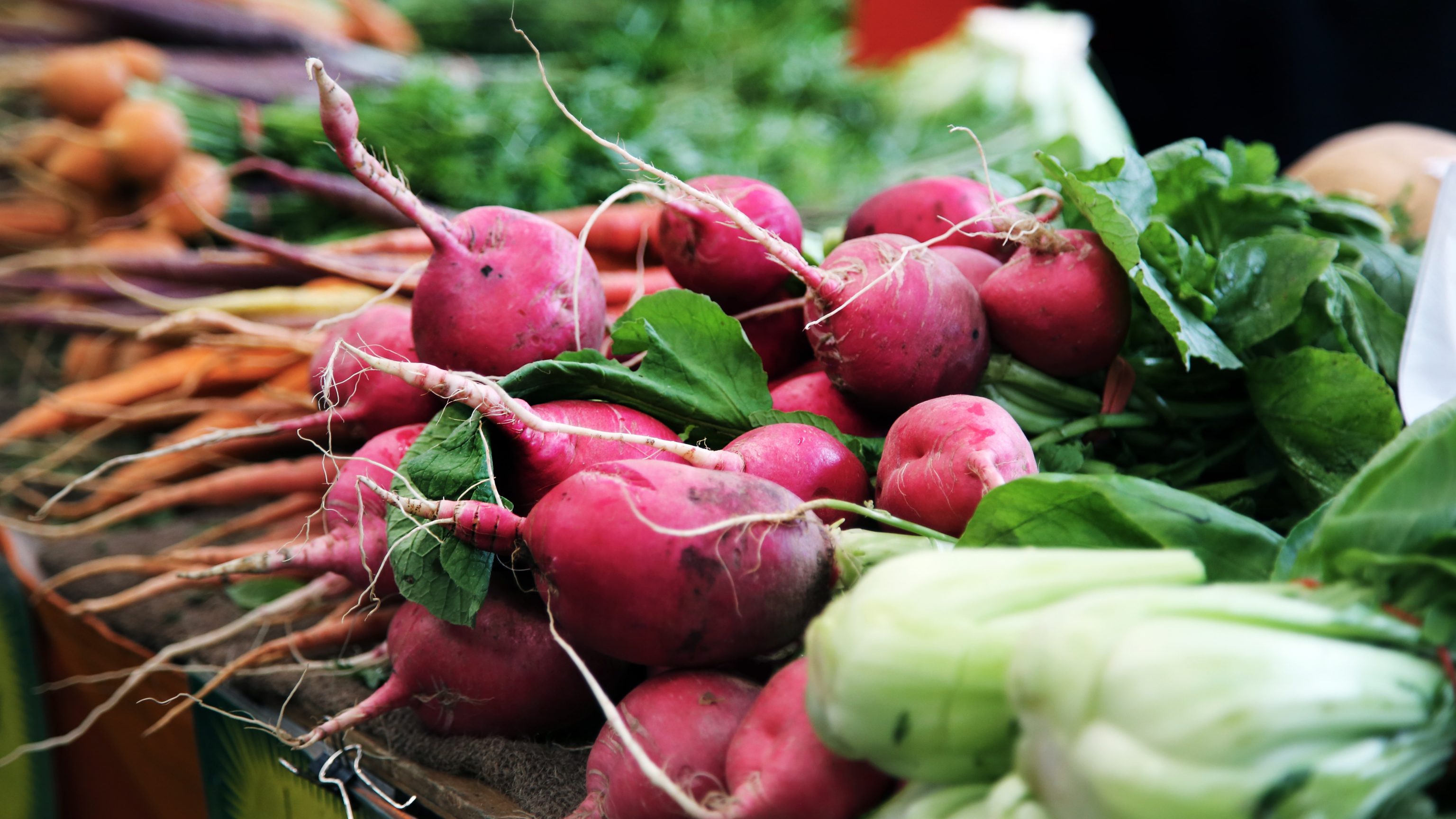 radishes, carrots, and other produce items lined up