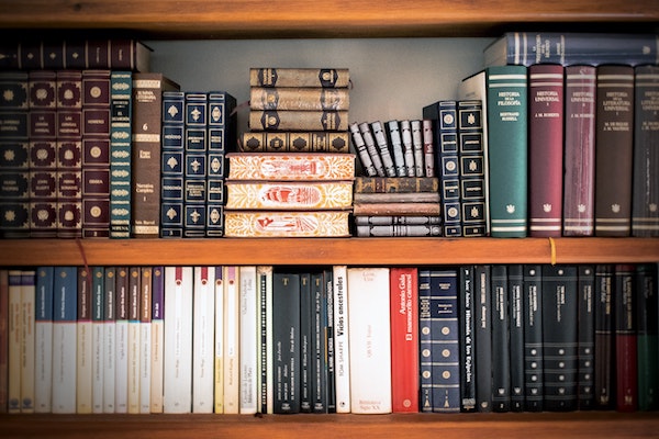 bookshelves organized by height