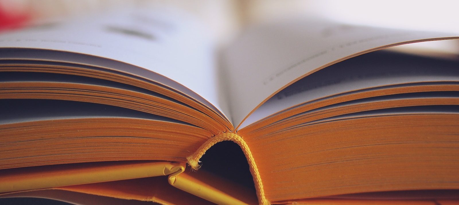 12 Clever Ways to Organize Your Book Collection