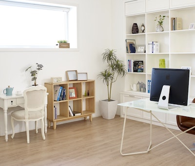 plants in a home office