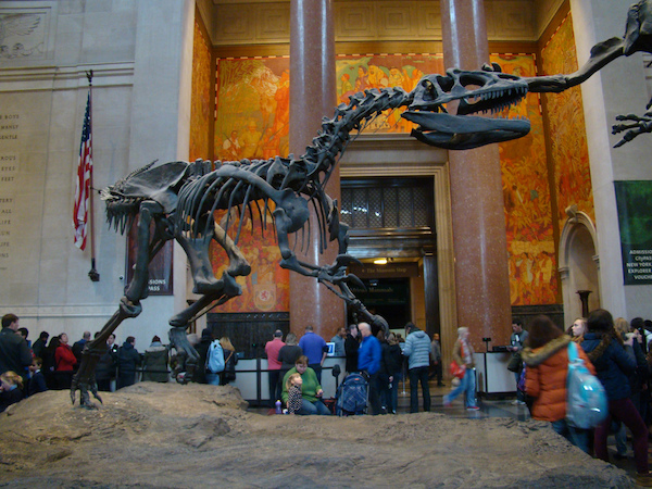 dinosaur at museum of natural history nyc