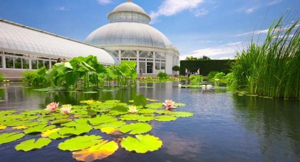 new york botanical garden