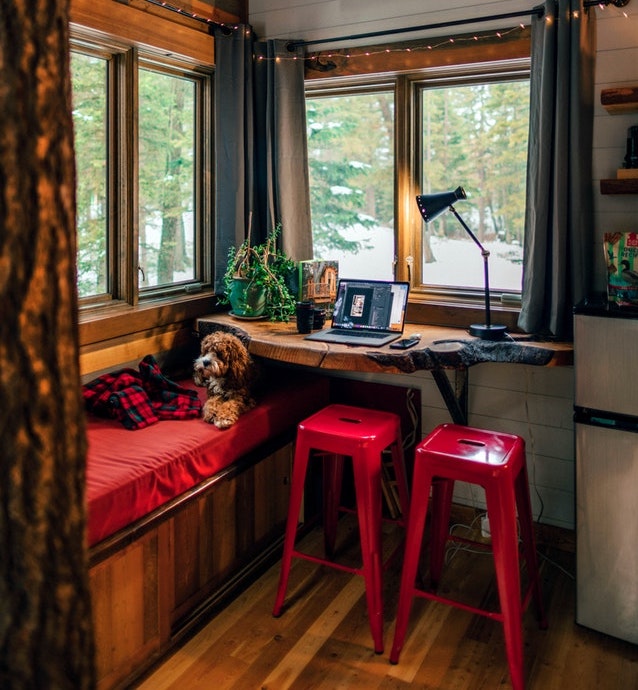 a warm nook by the window with a puppy snuggling in it