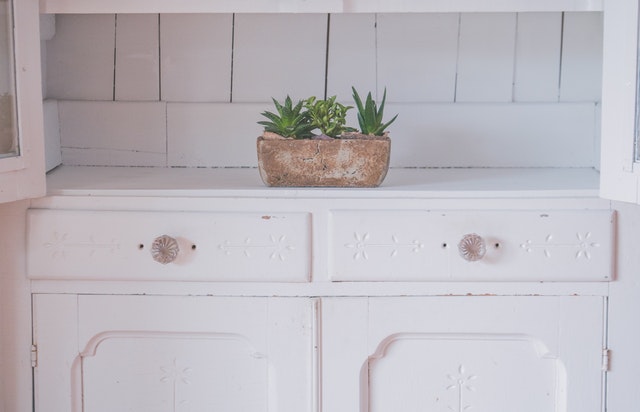 a kitchen counter with a potted plant