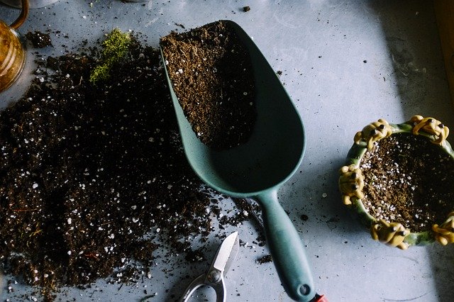 soil in a garden trowel