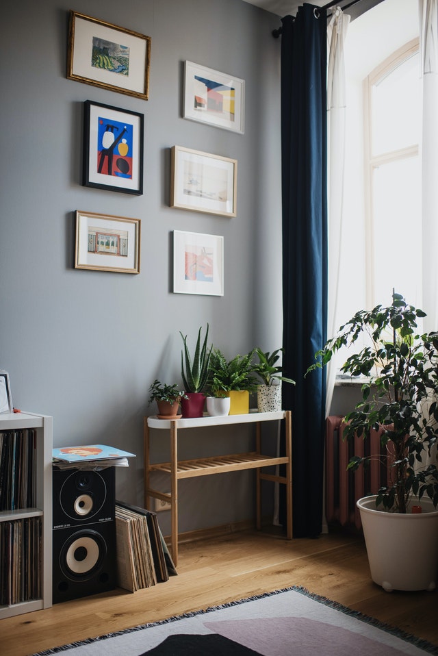 A home with plants and six pictures hanging off the wall