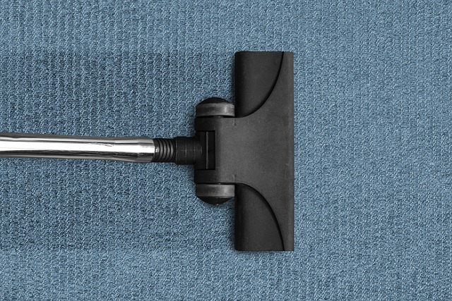 A vacuum cleaning a carpet 