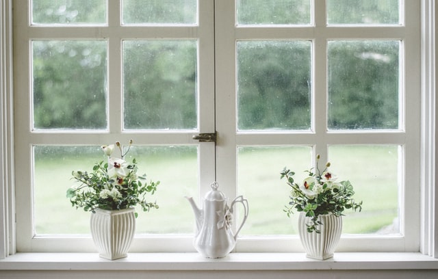 Two plants by a colonial window. 