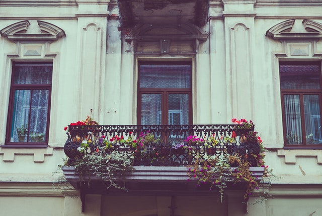  A front view of flowers and plants on a terrace 