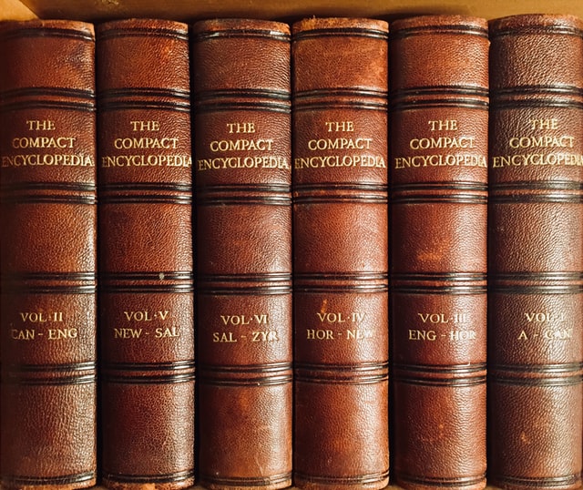 A bunch of book spines
