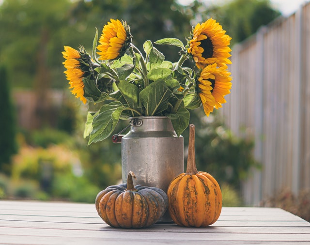 A pumpkin with flowers in an old steel milk can