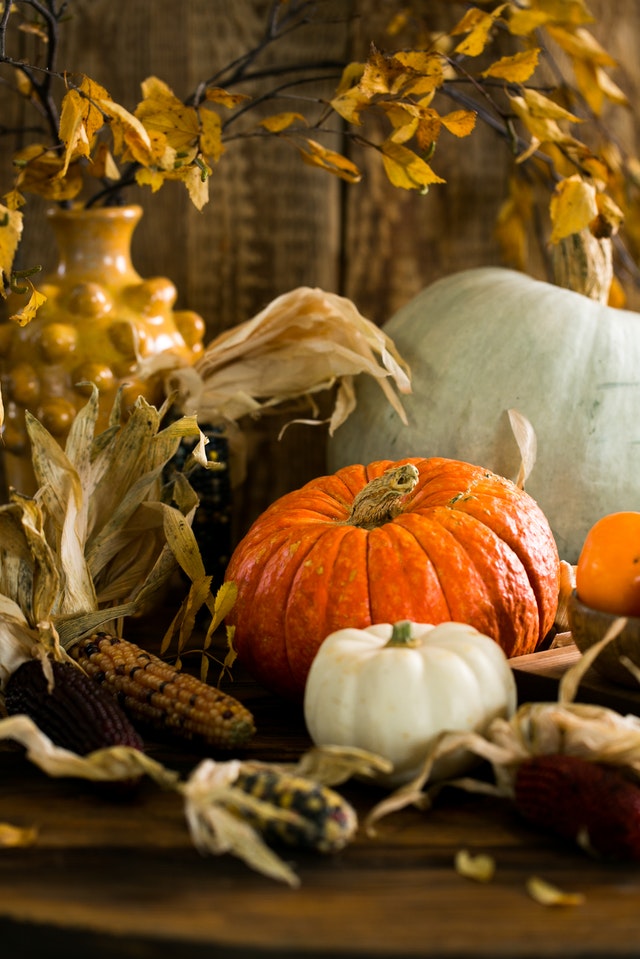 An orange and white pumpkin surrounded by fall leaves, corn and flower vases. 
