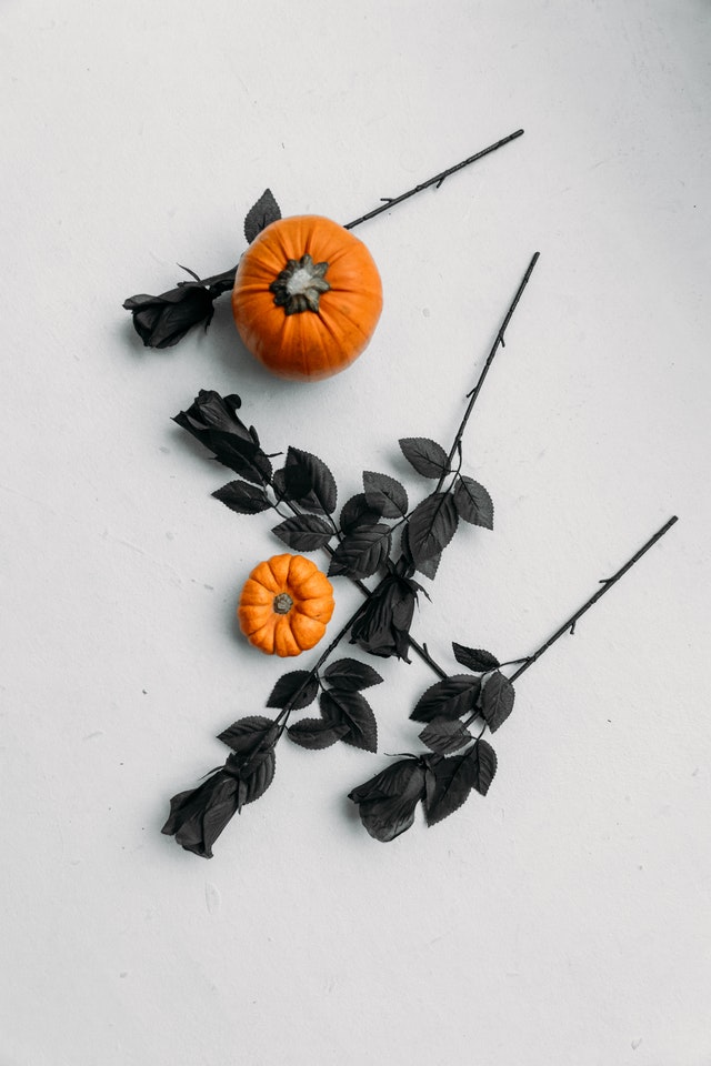 A couple of black leaves around two small pumpkins