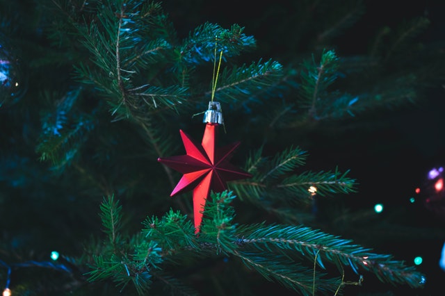 A holiday ornament on a christmas tree