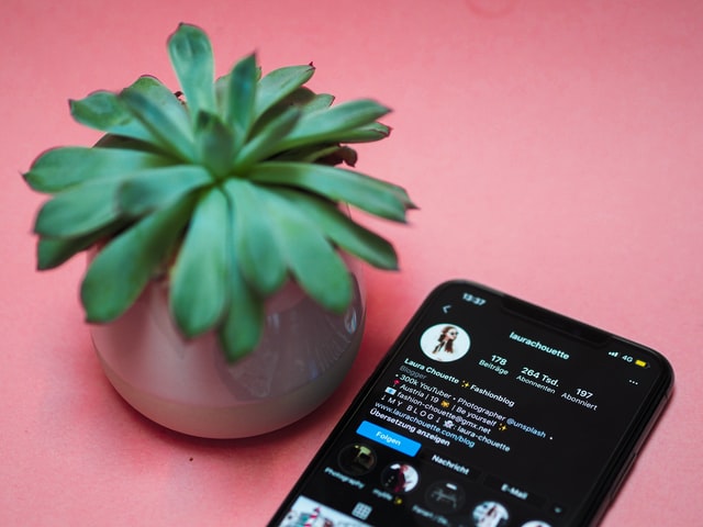 A phone with notifications next to a succulent.