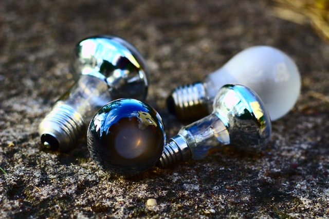 Three bulbs laying in soil.