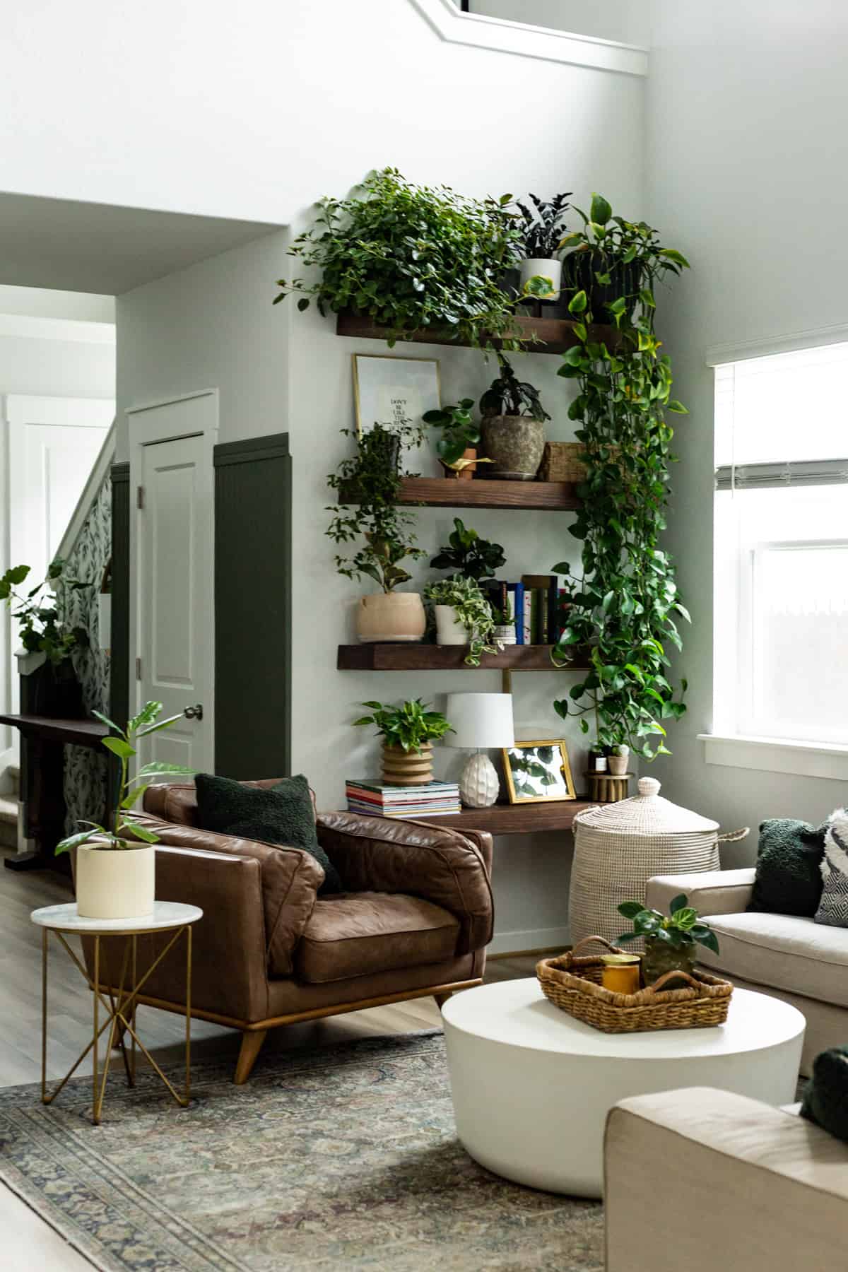 Living Room Decoration Idea: Plants