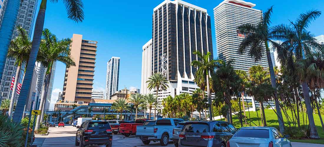 Palm trees and buildings